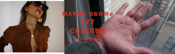apvp Бикин