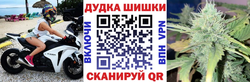 Бошки Шишки ГИДРОПОН Арсеньев